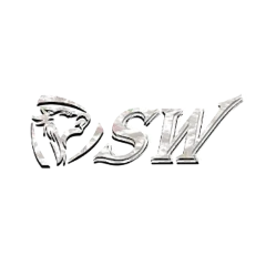 SW娛樂城