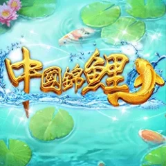 中國錦鯉