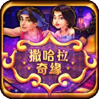 撒哈拉奇緣