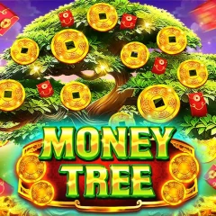 金錢樹