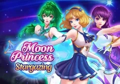 月亮公主:觀星