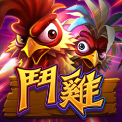 鬥雞